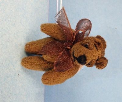 Tiny Brown Bear womb6124