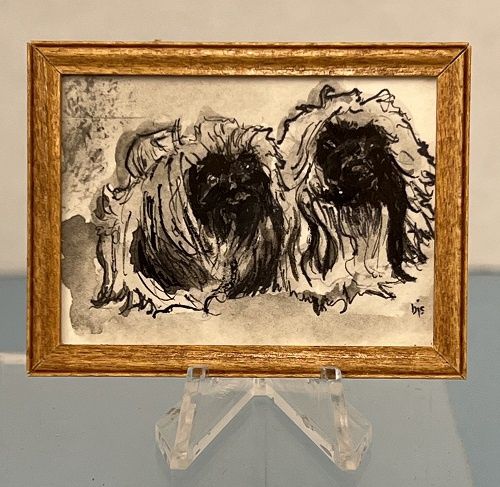 Two Pekingese Pups mc031581