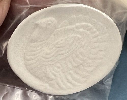 Unpainted Ceramic Bisque Turkey Platter CPB109