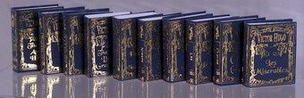 NI156 Victor Hugo Books set/10