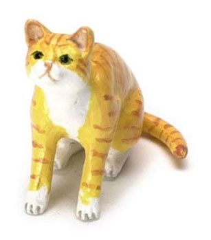 Upward Looking Cat A72OR