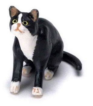 Upward Looking Cat - Socks A72sk