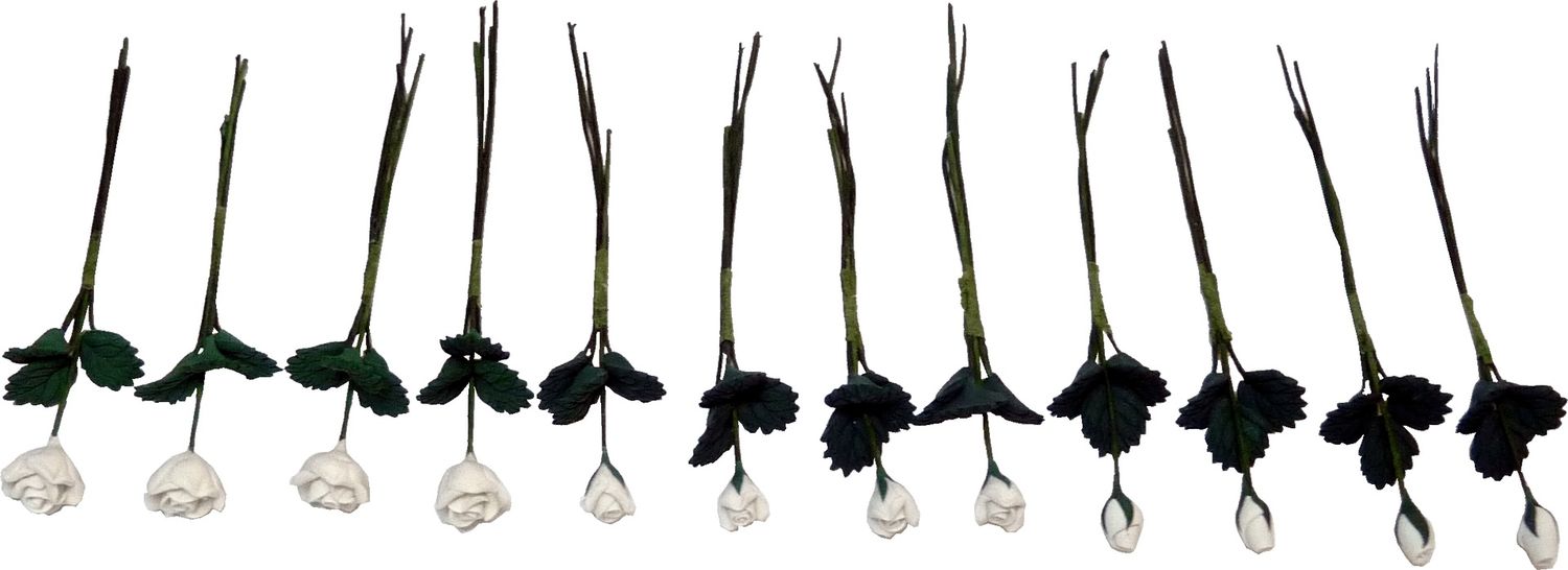 White Roses BDE1004