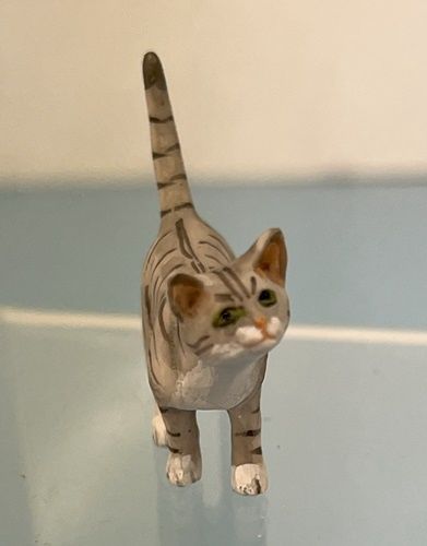 Grey and White Tabby a3097g