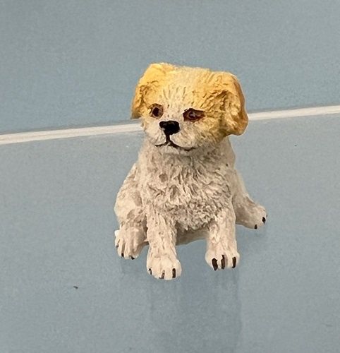 White and Gold Puppy mc031262