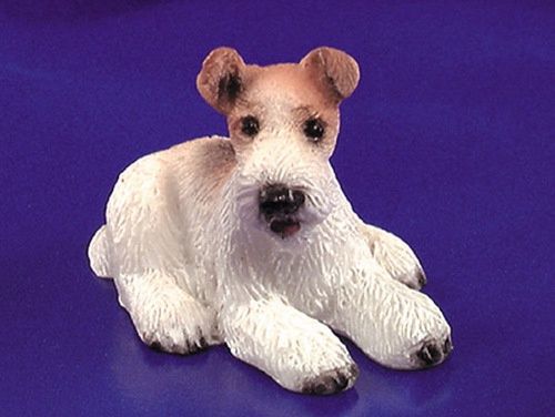 Wire-Haired Terrier IM65139