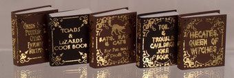 NI210 Witch Humor Book Set #1 set/5