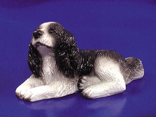 Welsh Springer Spaniel IM65089