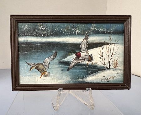 Winter Duck Swim mc05841