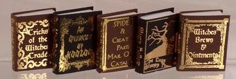 NI213 Witch Reference Book Set #2 set/5