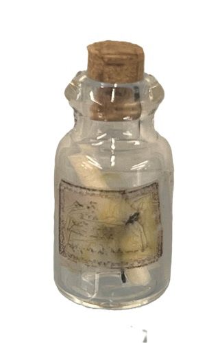 Witch's Spell in a Bottle mc031109