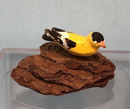 Yellow and Black Bird stu63201