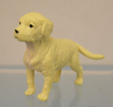 Yellow Lab mc05281-1
