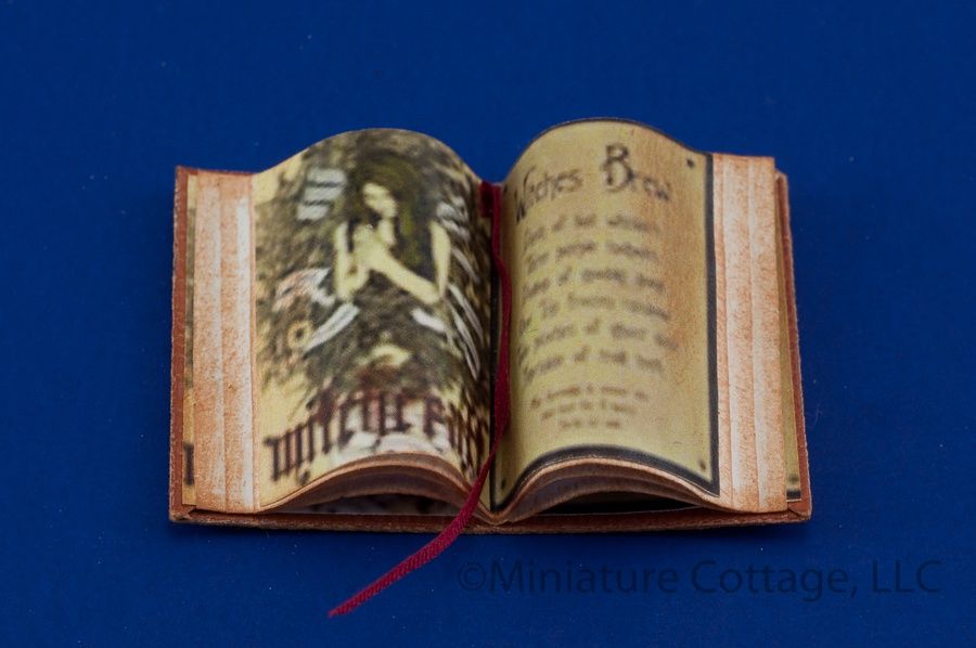 Witchbook tj8231