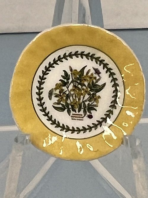 Yellow Bordered Plate with Greenery in Middle LCD159