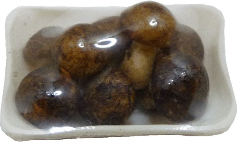 Wrapped Mushrooms bdp105