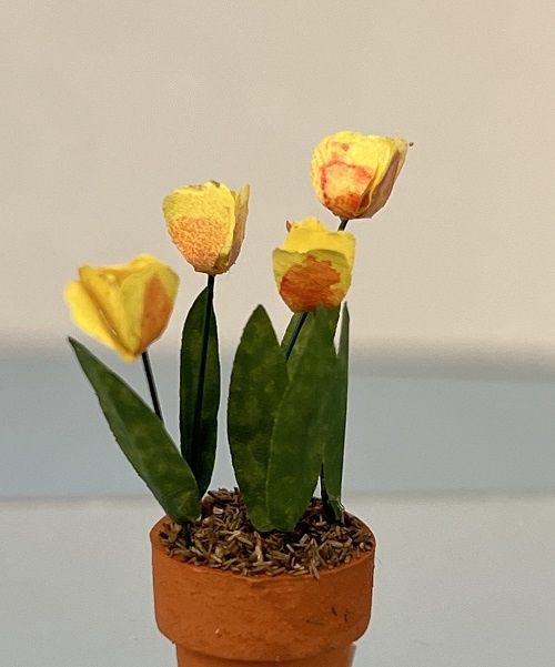 Yellow Tulips in Terracotta Pot MC212x