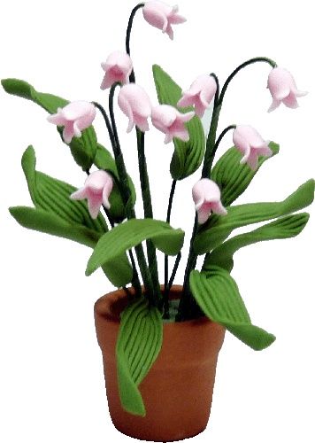 Pink Lily of the Valley BDa181