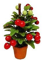 Tomato Plant  In Clay Pot BDa1075