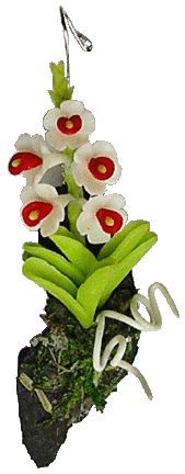 Hanging Orchid-Red and White BDa062