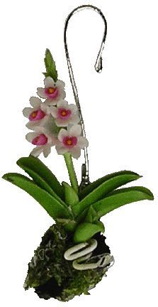Hanging Orchid-Pink/White BDa057