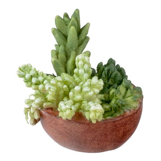 HW4046 Succulent Planter Bowl