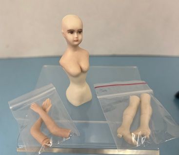 Female Doll Kit 2 10000341