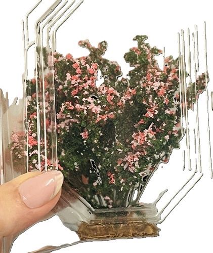 Pink bush with greenery