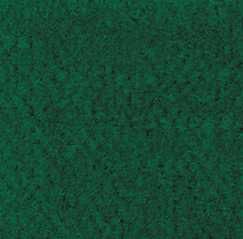 Carpet: Forest Green, 12 X 14