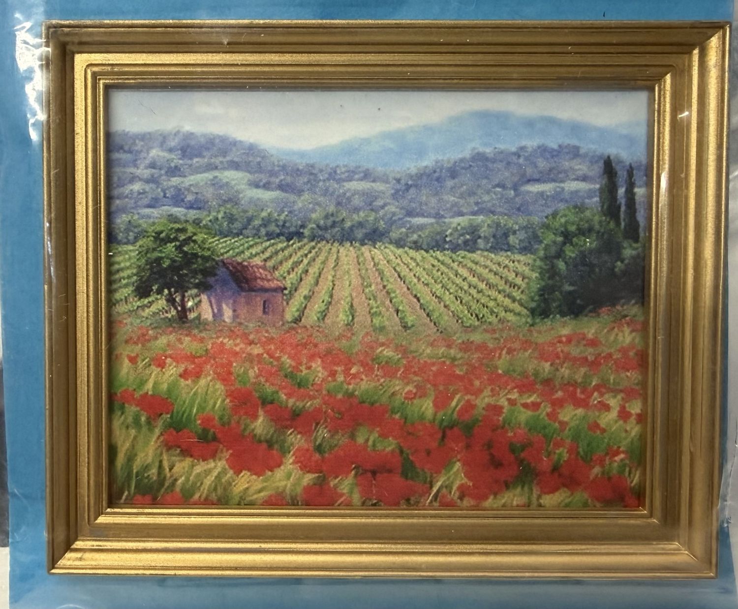 Red Poppy Splendor Painting