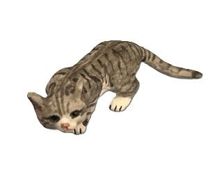 Sniffing Grey Tabby Cat