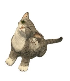 Scratching Grey Cat