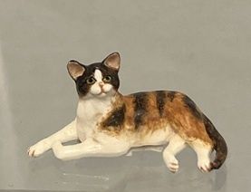 Lying Tabby Cat