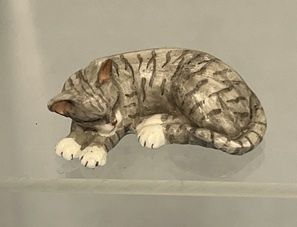 Grey Sleeping Cat