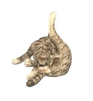 Grey Tabby Cat