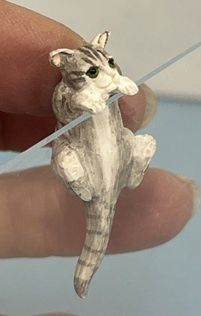 Hanging Grey Tabby