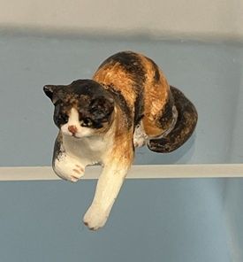 Lying Tabby