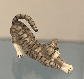 Stretching Grey Cat