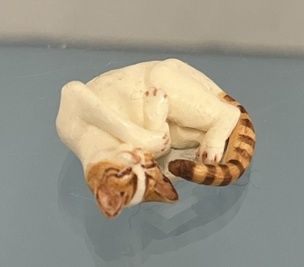 Curled Up Orange and White Cat