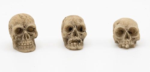ART423 Skull, Assorted, 1 Piece
