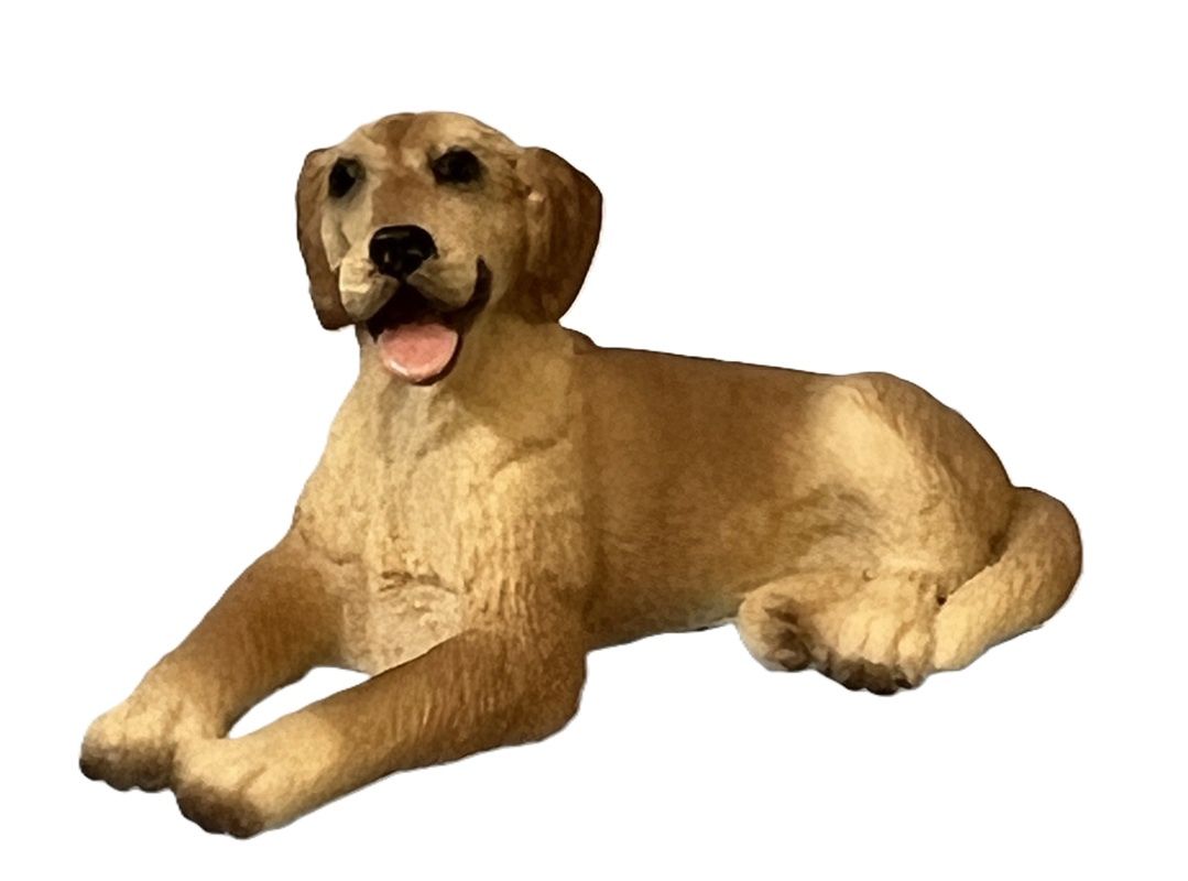 Resting Yellow Lab