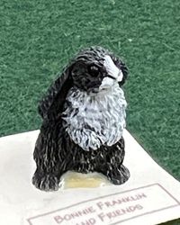 Black &amp; White Rabbit