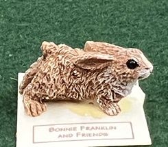 Brown Bunny