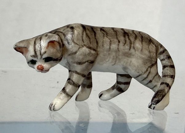 Grey Tabby Head Down