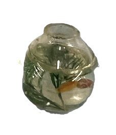 Fish Bowl with Goldfish
