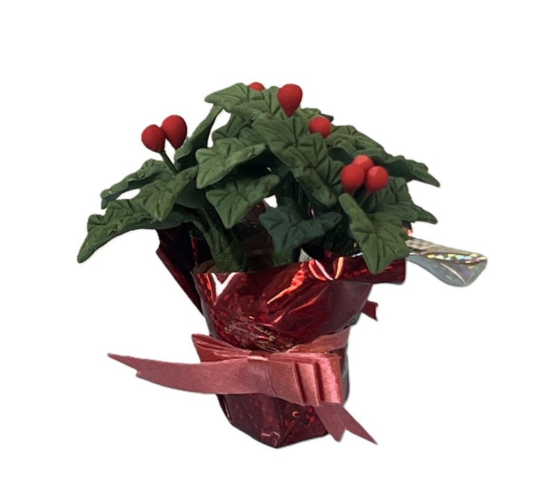 Poinsettia