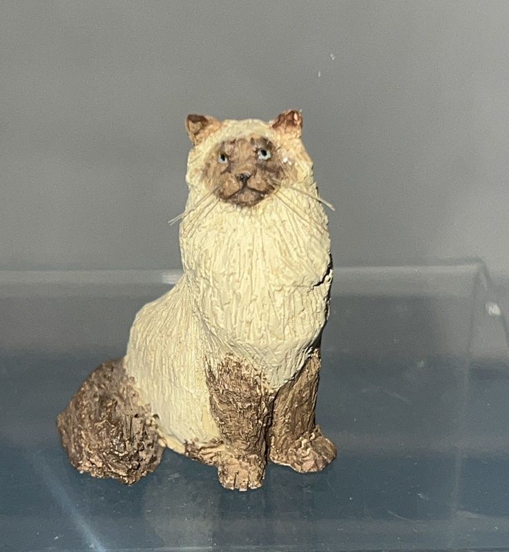 Claudon Cat