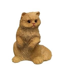 Orange Persian Cat