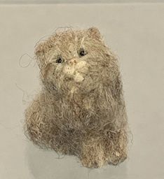 Fuzzy Cat