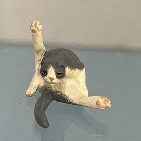 Cat with Hind Foot in Air